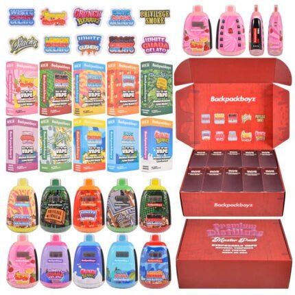Best Backpack Boyz 2g Disposable Vape With LED Screen