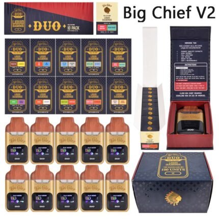 USA Stock 2g Big Chief Duo V2 Disposable 20 Flavors